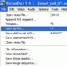  5:      VirtualDub & DivX Pro 5.x